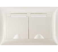 Розетка двойная с защитными шторками и крышкой с заземлением 16А 250В IP44 перламутр серия "Лама" TDM ELECTRIC SQ1815-0860