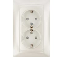 Розетка двойная с защитными шторками и крышкой с заземлением 16А 250В перламутр серия "Лама" TDM ELECTRIC SQ1815-0813