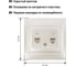 Розетка телефонная RJ11 + компьютерная RJ45 перламутр серия "Лама" TDM ELECTRIC SQ1815-0819 3