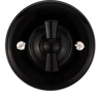 Поворотный выключатель TDM ELECTRIC 2-кл. с ручкой (бантик) 10А черный «Виви» SQ1820-1206