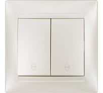 Выключатель на 2 направления 2 клавишный TDM ELECTRIC 10А перламутр серия "Лама" SQ1815-0807