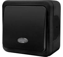 1-клавишный выключатель NE-AD с подсветкой, 10А, 250В, MULTIMA, Черный 92-53-01-I