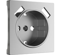 Накладка для usb розетки WERKEL серебряный матовый a063623