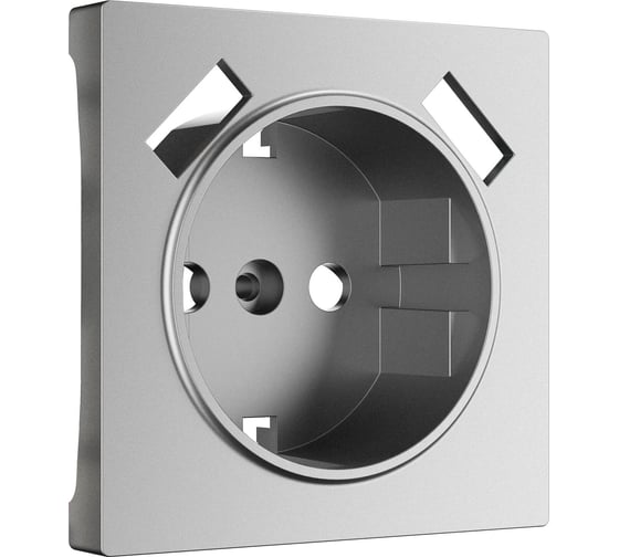Накладка для usb розетки WERKEL серебряный матовый a063623