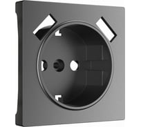 Накладка для usb розетки WERKEL графит матовый a063113