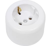 Круглая электророзетка Ливны-Электро РА 10-011 с заземляющим контактом, белая РА 1718