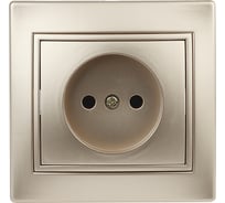 Розетка Intro Plano 120104 без заземления 2P, 16А 250В, IP20, СУ, шампань Б0053865