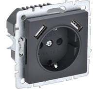 1-местная розетка IEK Brite с заземлением с защитными шторками 16а с usb a+a 5в 2,1а рюш10-1-брг графит BR-R14-16-U21-D21-K53