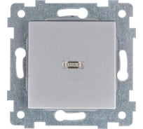 Механизм одноклавишного выключателя Кунцево-Электро "аксиома" скрытой установки со светоиндикацией с110-448 алюминий 121024