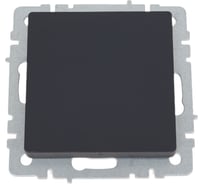 Заглушка с суппортом IEK Brite мз10-брг графит BR-PL10-K53