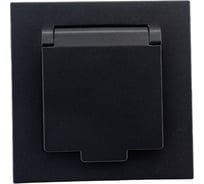 Одноместная розетка с крышкой UNIVersal серия афина с/з, с/у, 16а, 220в, графит еврослот A0029-Gr