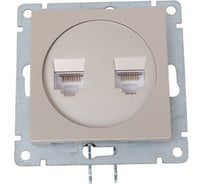 Компьютерная двухместная розетка UNIVersal серия афина с/у, 1а, rj45, шампань еврослот A1086-Br
