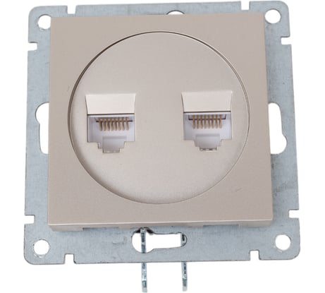 Компьютерная двухместная розетка UNIVersal серия афина с/у, 1а, rj45, шампань еврослот A1086-Br