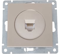 Компьютерная одноместная розетка UNIVersal серия афина, с/у, 1а, rj45, шампань еврослот A0051-Br