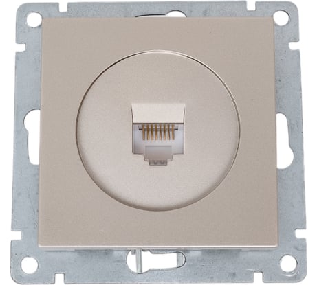 Компьютерная одноместная розетка UNIVersal серия афина, с/у, 1а, rj45, шампань еврослот A0051-Br