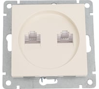 Компьютерная+телефонная розетка UNIVersal серия афина, с/у, 1а, rj45, rj12, слоновая кость ivory еврослот A0052-I