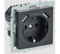 1-местная розетка IEK Brite с заземлением с защитными шторками 16а с usb a+a 5в 3,1а рюш10-2-брч черный BR-R14-16-U21-D31-K02