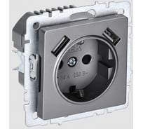 1-местная розетка IEK Brite с заземлением с защитными шторками 16а с usb a+a 5в 3,1а рюш10-2-брс сталь BR-R14-16-U21-D31-K46
