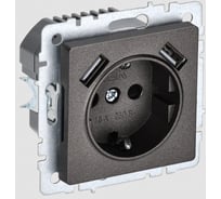 1-местная розетка IEK Brite с заземлением с защитными шторками 16а с usb a+a 5в 3,1а рюш10-2-бртб темная бронза BR-R14-16-U21-D31-K45