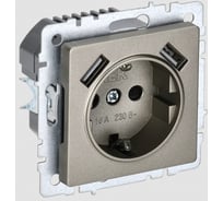 1-местная розетка IEK Brite с заземлением с защитными шторками 16а с usb a+a 5в 3,1а рюш10-2-брш шампань BR-R14-16-U21-D31-K37