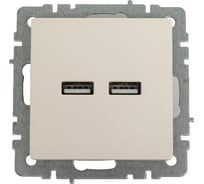 Розетка USB IEK Brite a+a 5в 3,1а рю10-1-брж жемчуг BR-U21-D31-K36