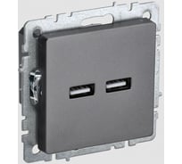 Розетка USB IEK Brite a+a 5в 3,1а рю10-1-брс сталь BR-U21-D31-K46