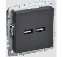 Розетка USB IEK Brite a+a 5в 3,1а рю10-1-брч черный BR-U21-D31-K02