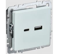 Розетка USB IEK Brite a+c 18вт рю11-1-брж жемчуг BR-U22-018-K36