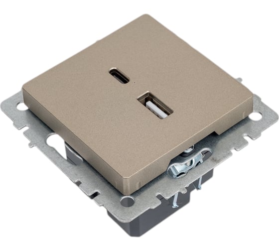 Розетка USB IEK Brite a+c 18вт рю11-1-брш шампань BR-U22-018-K37