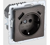 1-местная розетка IEK Brite с заземлением с защитными шторками 16а с usb a+c 18вт рюш11-1-бртб темная бронза BR-R14-16-U22-018-K45