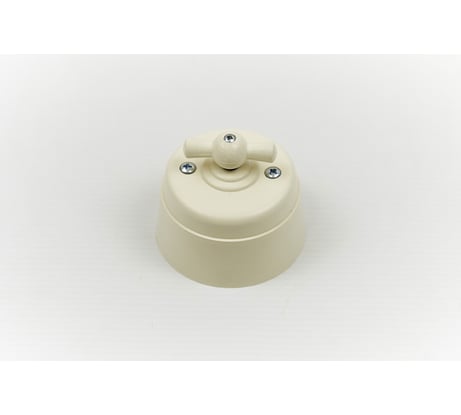 Поворотный выключатель Interior Electric с корпусом из пластика серии "вектор" (слоновая кость) ВПП03