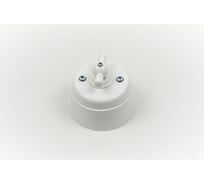 Поворотный выключатель Interior Electric с корпусом из пластика серии "вектор" (белый) ВПП01