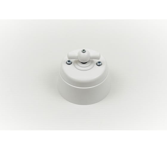 Поворотный выключатель Interior Electric с корпусом из пластика серии "вектор" (белый) ВПП01