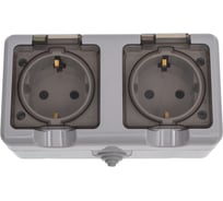 Розетка 2-м TOKOV ELECTRIC оп dita 16а ip54 250в с заземл. с прозр. крышкой сер. TKL-DT-R2Z-C06T-IP54