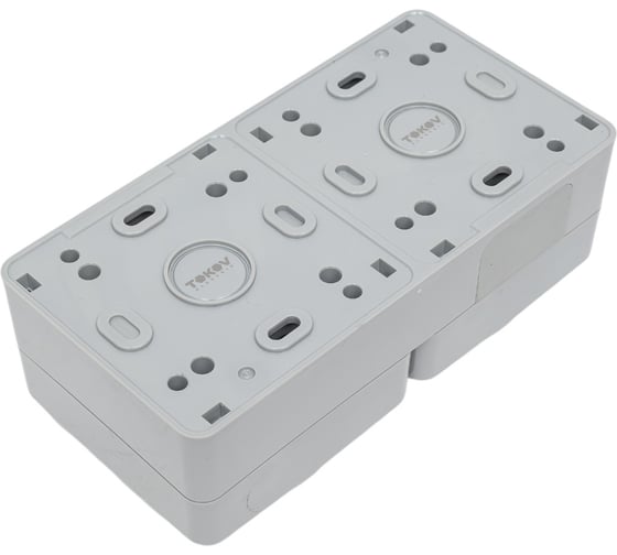 Розетка 2-м TOKOV ELECTRIC оп nix 16а ip54 250в с заземл. с крышкой сер. TKE-NX-R2Z-C06-IP54