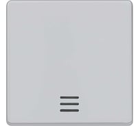 Выключатель 1 клавиша Siemens с окном алюминиевый металлик DELTA I-SYSTEM С ОКНОМ 55x55MM 5TG6240
