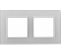 Рамка для розеток и выключателей ЭРА Elegance 14510201 на 2 поста, стекло, Elegance, белый/белый Б0059168