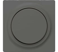 Центральный элементи дизайна для диммера Siemens DELTA I-SYSTEM черный металлик с поворотной кнопкой 55x55мм 5TC8903