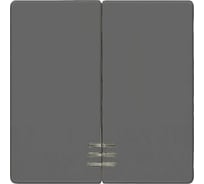 Выключатель 2 клавиши с окном Siemens DELTA I-SYSTEM черный металлик 55x55мм 5TG6224