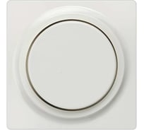 Центральный элементи дизайна для диммера Siemens DELTA I-SYSTEM титановый белый с поворотной кнопкой 55x55мм 5TC8900