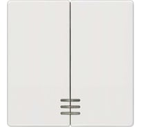 Выключатель 2 клавиши с окном Siemens DELTA I-SYSTEM титановый белый 55x55мм 5TG6204