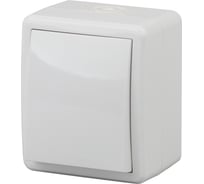 Выключатель ЭРА Эксперт 11-1401-01 IP54, 10АХ-250В, ОУ, белый Б0020669