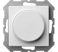 Поворотно-нажимной светодиодный светорегулятор LIREGUS (100 вт) белый epsilon 28-0141