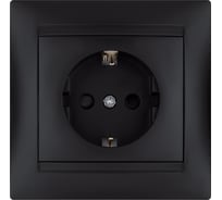 Розетка TDM ELECTRIC Лама 2П+З 16А 250В с защитными шторками, графит SQ1815-0611