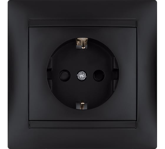 Розетка TDM Лама 2П+З 16А 250В с защитными шторками, графит SQ1815-0611