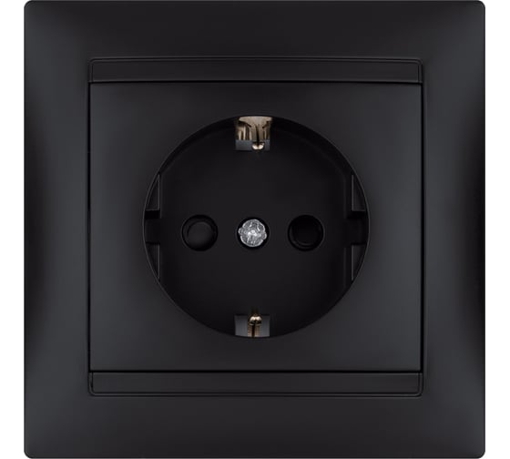 Розетка TDM ELECTRIC Лама 2П+З 16А 250В с защитными шторками, графит SQ1815-0611