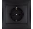 Розетка TDM ELECTRIC Лама 2П+З 16А 250В с защитными шторками, графит SQ1815-0611 1