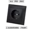 Розетка TDM ELECTRIC Лама 2П+З 16А 250В с защитными шторками, графит SQ1815-0611 2