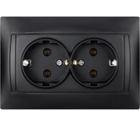 Двойная розетка TDM ELECTRIC Лама 2П+З 16А 250В графит SQ1815-0625