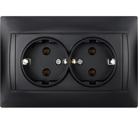 Двойная розетка TDM ELECTRIC Лама 2П+З 16А 250В графит SQ1815-0625